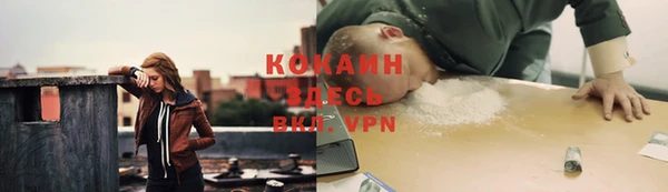 СК Михайлов