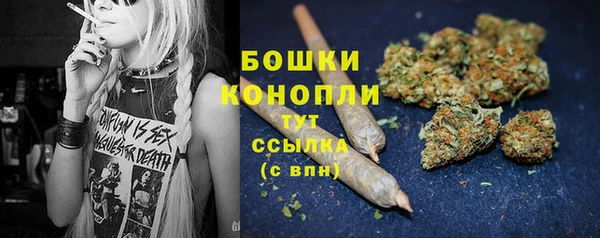 СК Михайлов