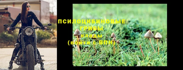 мескалин Михайловск